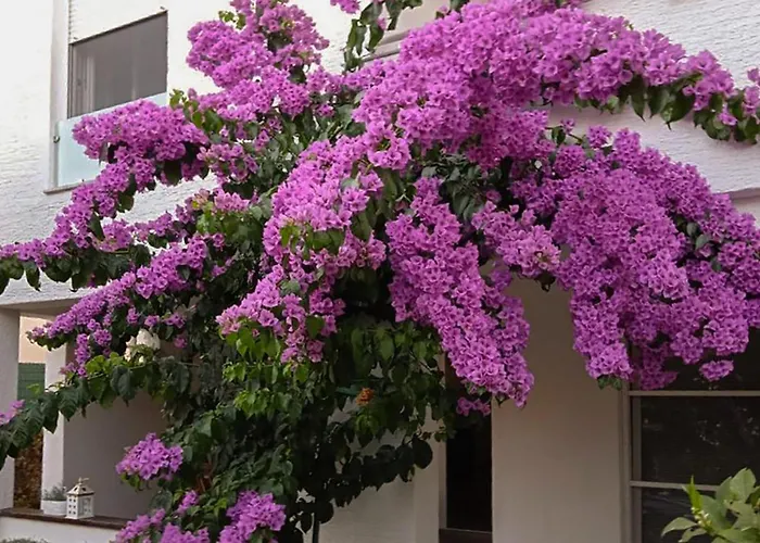 アパート Beautiful In With Wifi